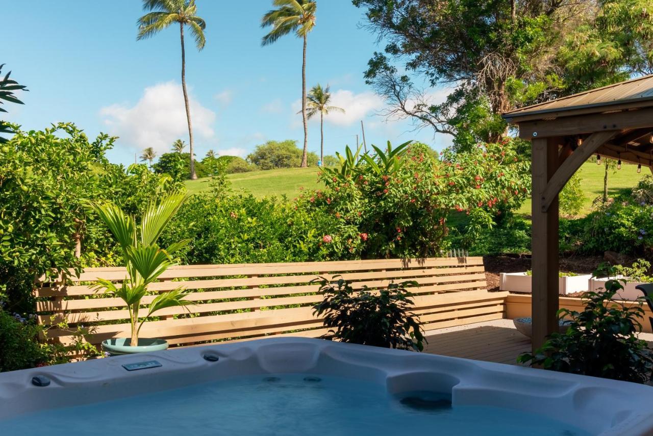 Noahs Hideaway Luxury B&B Лагайна Екстер'єр фото